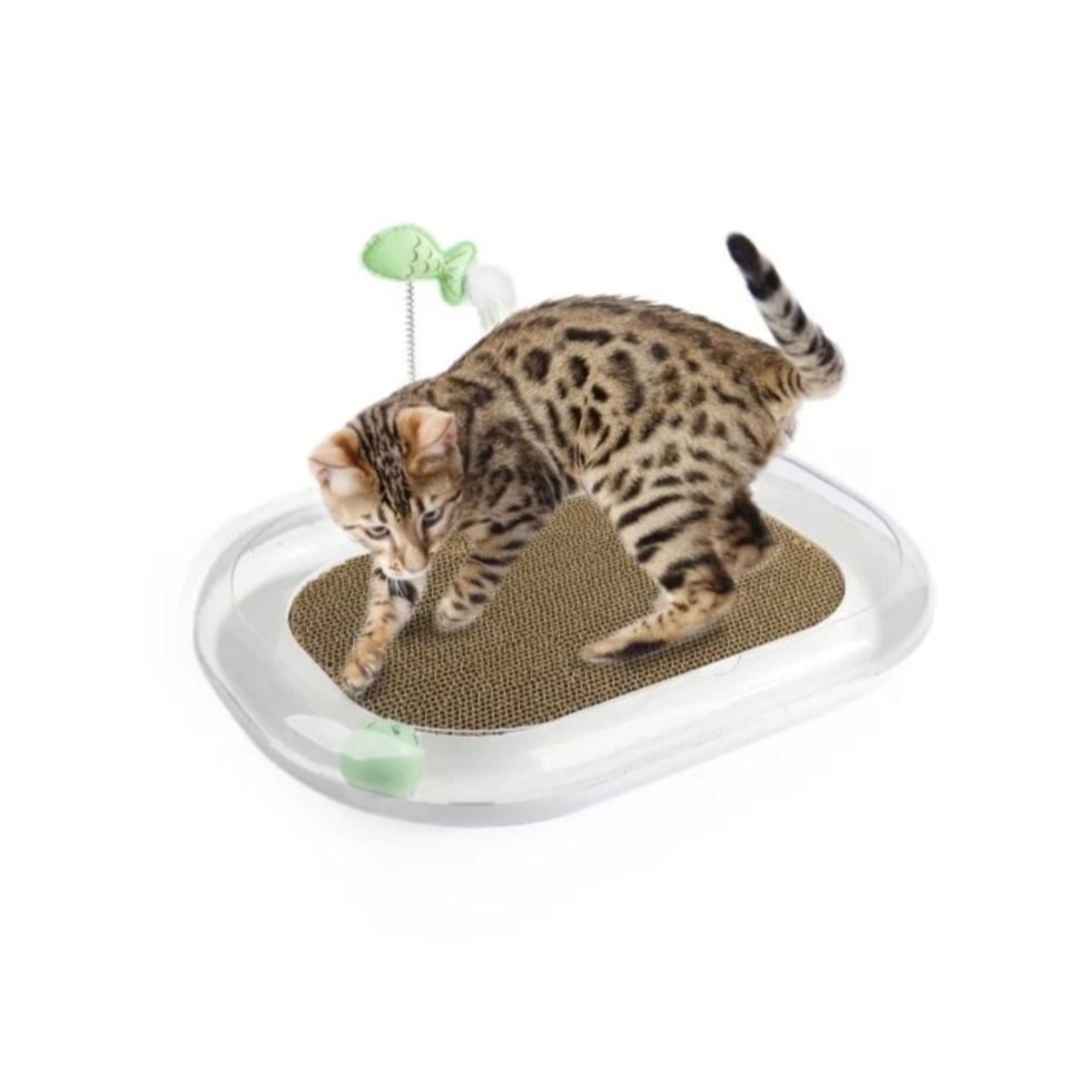 Cat runway scratcher Regular