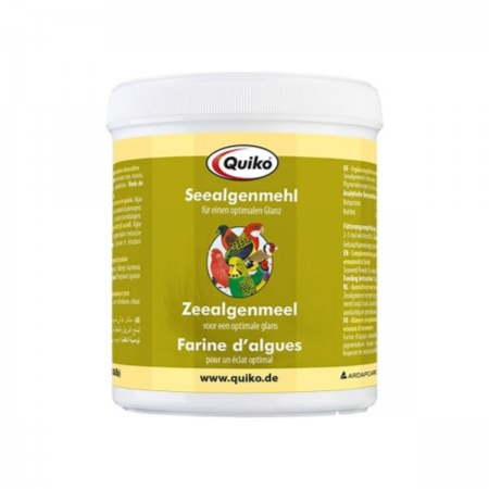 Quiko Seaweed-Powder Flour Supports Pigmentation 400G