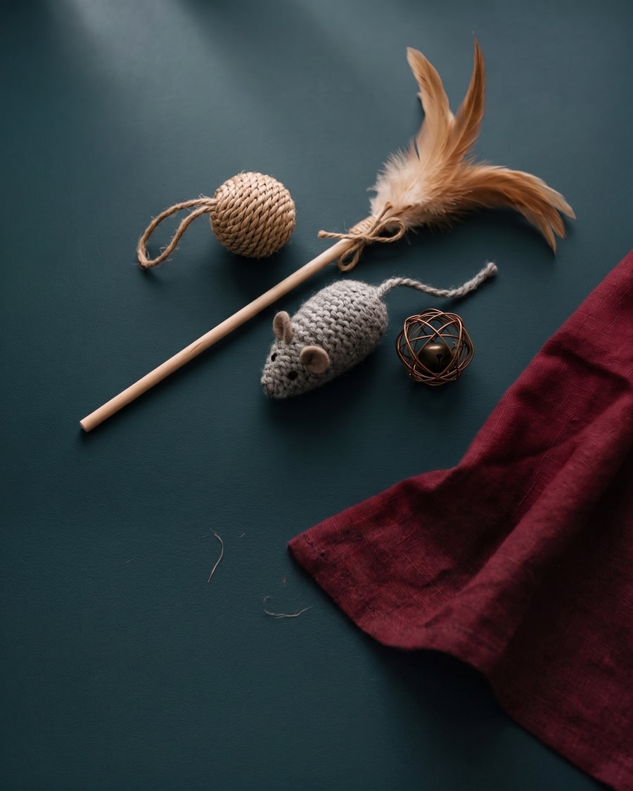 Cat toys