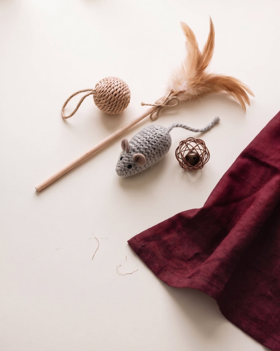 Cat toys