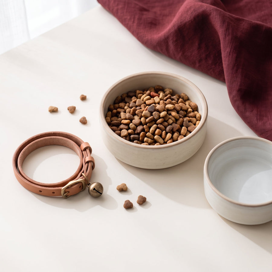Cat food