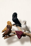 Birds & Pigeons