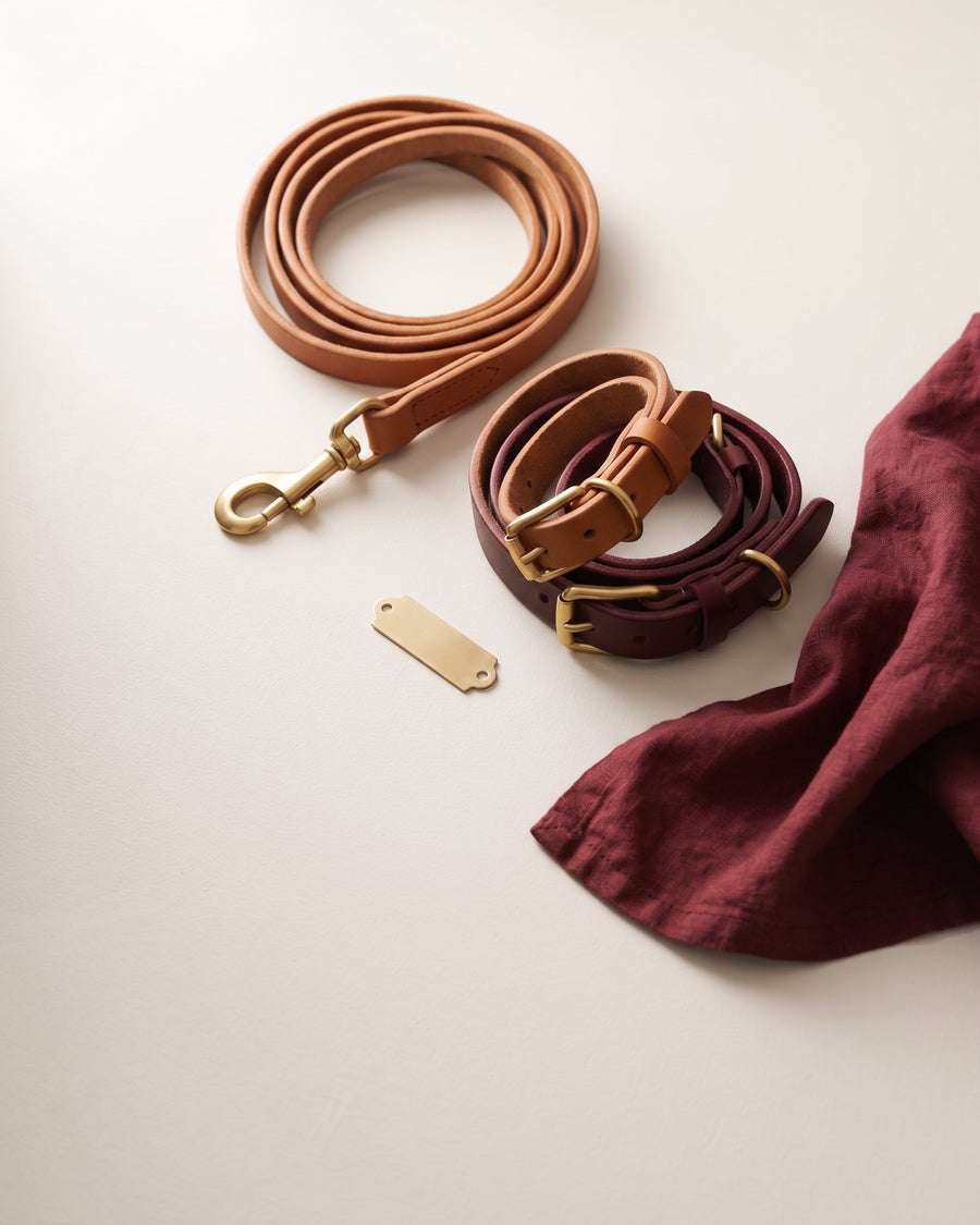 Collars & leashes