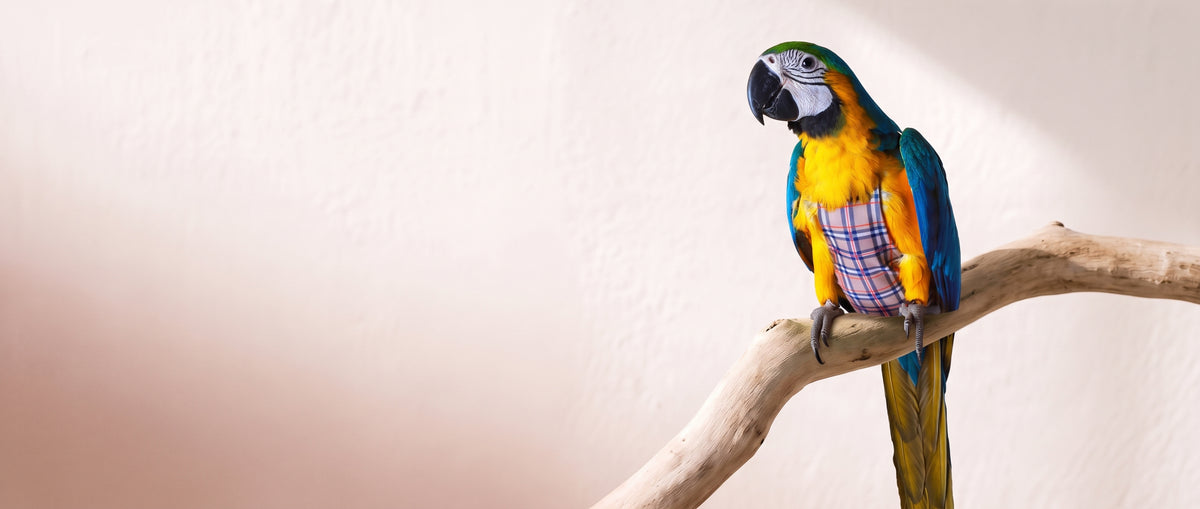 Everything Your Pet Needs, All in One Place