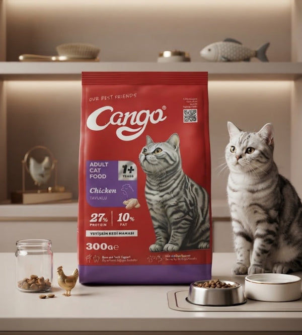 Cango Adult Dry Cat Food Chicken (300g)