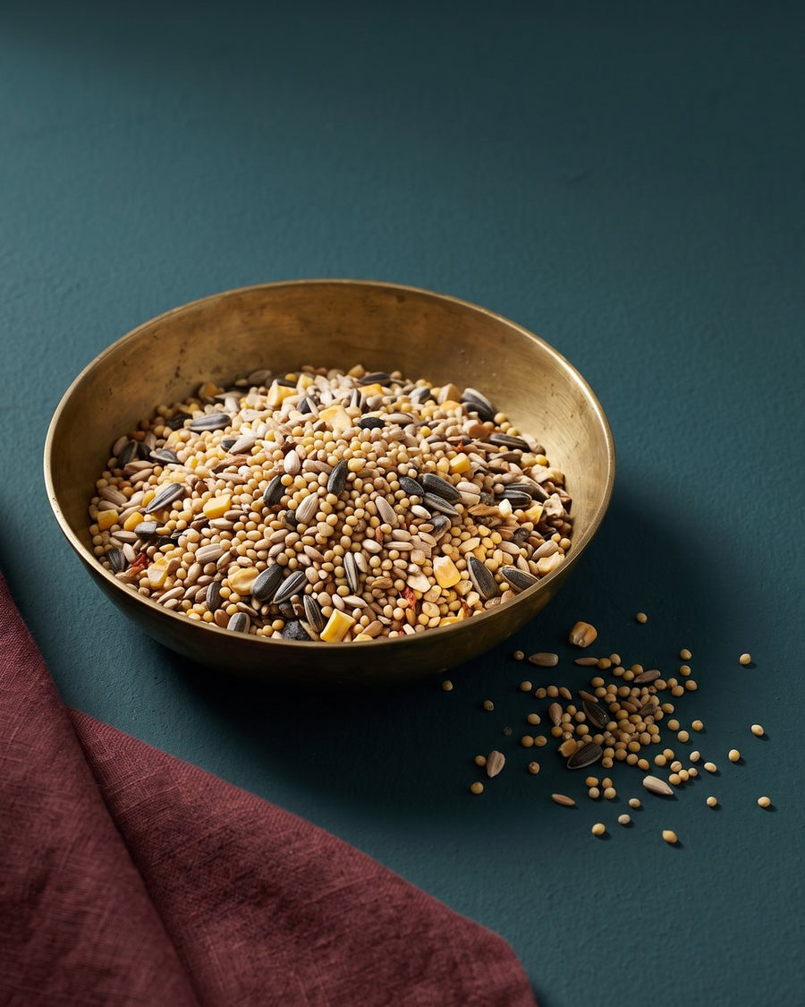 🦜 Bird food 🦜