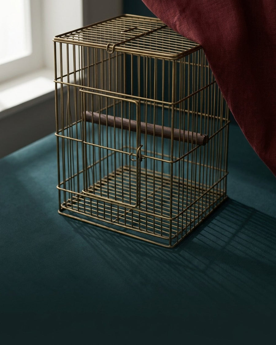 Cages cat & dog & parrot