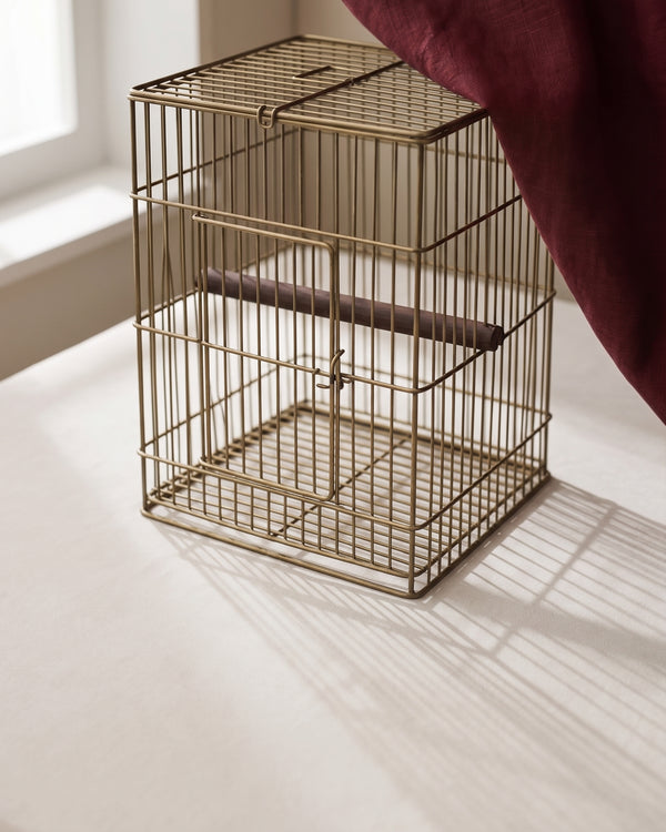 Bird cages