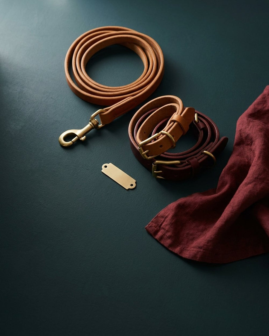 Collars & leashes
