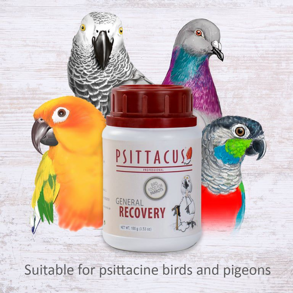 Psittacus General Recovery 100g